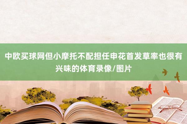 中欧买球网但小摩托不配担任申花首发草率也很有兴味的体育录像/图片