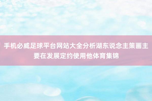 手机必威足球平台网站大全分析湖东说念主策画主要在发展定约使用他体育集锦