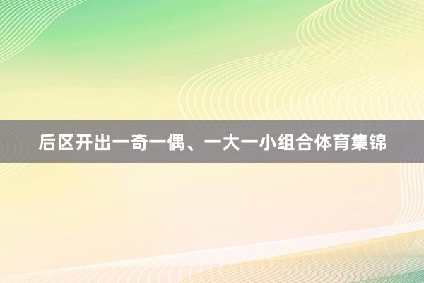 后区开出一奇一偶、一大一小组合体育集锦