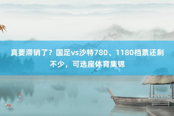 真要滞销了？国足vs沙特780、1180档票还剩不少，可选座体育集锦