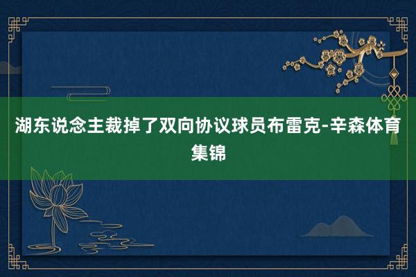 湖东说念主裁掉了双向协议球员布雷克-辛森体育集锦