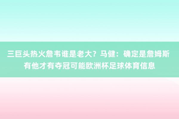 三巨头热火詹韦谁是老大？马健：确定是詹姆斯 有他才有夺冠可能欧洲杯足球体育信息