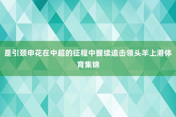 是引颈申花在中超的征程中握续追击领头羊上港体育集锦